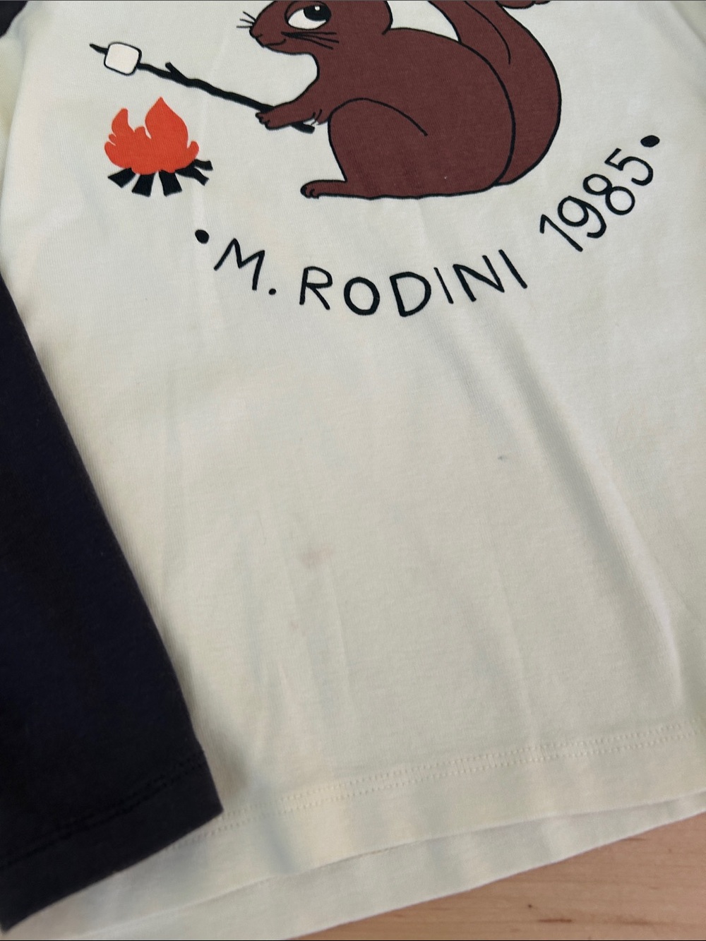 🌱Mini Rodini Camp Rodini LS Tee - Picture 3 of 4